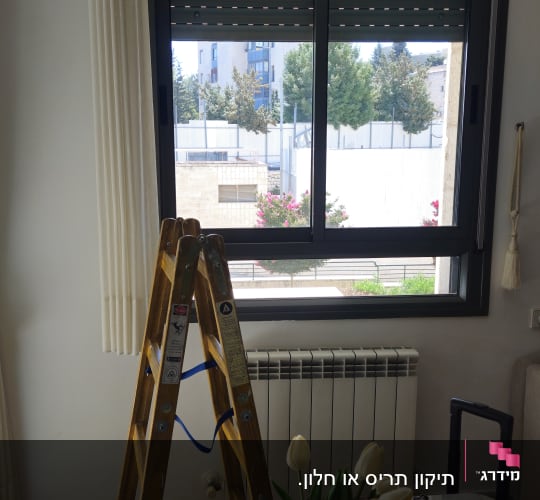 סולם ליד חלון עם תריסים פתוחים ופרחים על שולחן